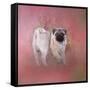 Pug in the Garden-Jai Johnson-Framed Stretched Canvas