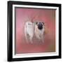 Pug in the Garden-Jai Johnson-Framed Giclee Print