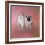 Pug in the Garden-Jai Johnson-Framed Giclee Print