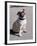 Pug Licking His Mouth-Henry Horenstein-Framed Photographic Print