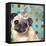 Pug Love-Anna Polanski-Framed Stretched Canvas