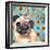 Pug Love-Anna Polanski-Framed Art Print