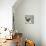Pug Love-Anna Polanski-Stretched Canvas displayed on a wall