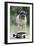 Pug on Skateboard-null-Framed Photographic Print