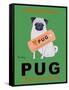 Pug Orange Juice-Ken Bailey-Framed Stretched Canvas