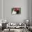 Pug Portrait by Christmas Wreath-Ribbon, Rockford, Illinois, USA-Lynn M^ Stone-Photographic Print displayed on a wall