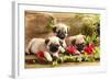 Pug Puppies And Flowers In Retro Backgraun-Lilun-Framed Photographic Print