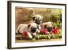 Pug Puppies And Flowers In Retro Backgraun-Lilun-Framed Photographic Print