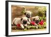 Pug Puppies And Flowers In Retro Backgraun-Lilun-Framed Photographic Print