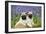 Pug Puppies Standing Together in Bluebells-null-Framed Premium Photographic Print