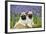 Pug Puppies Standing Together in Bluebells-null-Framed Photographic Print