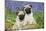 Pug Puppies Standing Together in Bluebells-null-Mounted Photographic Print