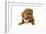 Pug Puppy (5 Wks Old) with Dogue De Bordeaux-null-Framed Photographic Print