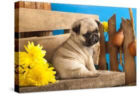 Pug Puppy And Spring Flowers-Lilun-Stretched Canvas