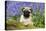 Pug Puppy in Bluebells-null-Stretched Canvas