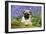 Pug Puppy in Bluebells-null-Framed Photographic Print