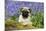 Pug Puppy in Bluebells-null-Mounted Photographic Print