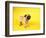 Pug Puppy-Peter M^ Fisher-Framed Photographic Print