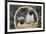 Pug Pups in Wicker Basket, Santa Ynez, California, USA-Lynn M^ Stone-Framed Photographic Print