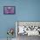 PUG Purple XXXIII-Fernando Palma-Framed Stretched Canvas displayed on a wall