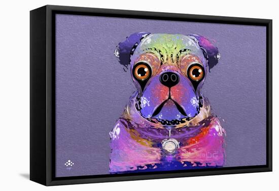 PUG Purple XXXIII-Fernando Palma-Framed Stretched Canvas