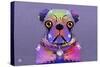 PUG Purple XXXIII-Fernando Palma-Stretched Canvas