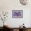 PUG Purple XXXIII-Fernando Palma-Framed Premium Giclee Print displayed on a wall