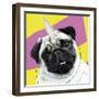 Pug Rotten-Malcolm Sanders-Framed Giclee Print