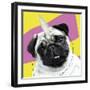 Pug Rotten-Malcolm Sanders-Framed Giclee Print