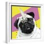 Pug Rotten-Malcolm Sanders-Framed Giclee Print