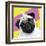 Pug Rotten-Malcolm Sanders-Framed Giclee Print