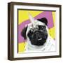 Pug Rotten-Malcolm Sanders-Framed Giclee Print