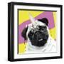 Pug Rotten-Malcolm Sanders-Framed Giclee Print