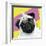 Pug Rotten-Malcolm Sanders-Framed Giclee Print