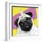 Pug Rotten-Malcolm Sanders-Framed Giclee Print