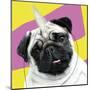 Pug Rotten-Malcolm Sanders-Mounted Giclee Print