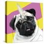 Pug Rotten-Malcolm Sanders-Stretched Canvas