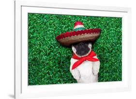 Pug Siesta-Javier Brosch-Framed Photographic Print