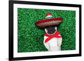 Pug Siesta-Javier Brosch-Framed Photographic Print