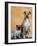 Pug Sitting Next to a Mixed Breed Dog on a Rug-Petra Wegner-Framed Photographic Print