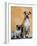 Pug Sitting Next to a Mixed Breed Dog on a Rug-Petra Wegner-Framed Photographic Print