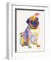 Pug Sketch-Patti Mollica-Framed Art Print