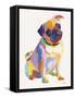 Pug Sketch-Patti Mollica-Framed Stretched Canvas