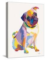 Pug Sketch-Patti Mollica-Stretched Canvas