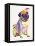 Pug Sketch-Patti Mollica-Framed Stretched Canvas