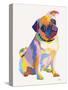 Pug Sketch-Patti Mollica-Stretched Canvas