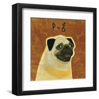 Pug (square)-John W^ Golden-Framed Art Print