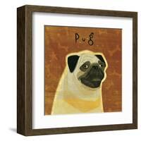 Pug (square)-John W^ Golden-Framed Art Print