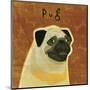 Pug (square)-John W^ Golden-Mounted Art Print