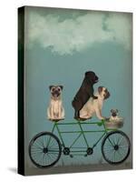 Pug Tandem-Fab Funky-Stretched Canvas